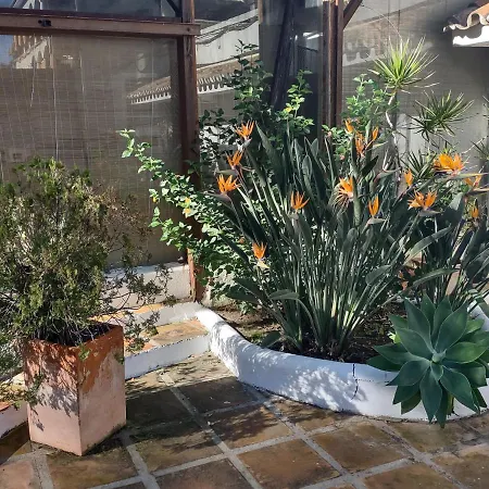 Puerto Banus Near Beachfront, Big Sunny Terrace, Pool, Tennis Court, Parking & Movies Projector 公寓