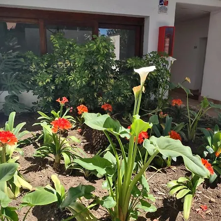 Puerto Banus Near Beachfront, Big Sunny Terrace, Pool, Tennis Court, Parking & Movies Projector