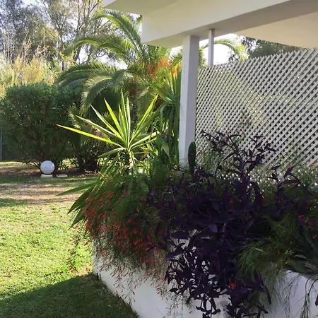 Puerto Banus Beachfront Retreat: Terrace, Pool & Tennis Apartment Marbella