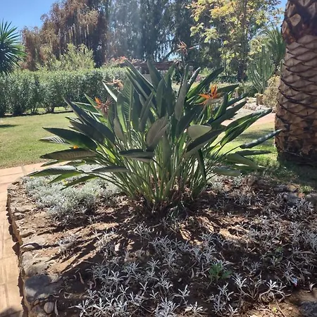 Apartamento Puerto Banus Near Beachfront, Big Sunny Terrace, Pool, Tennis Court, Parking & Movies Projector