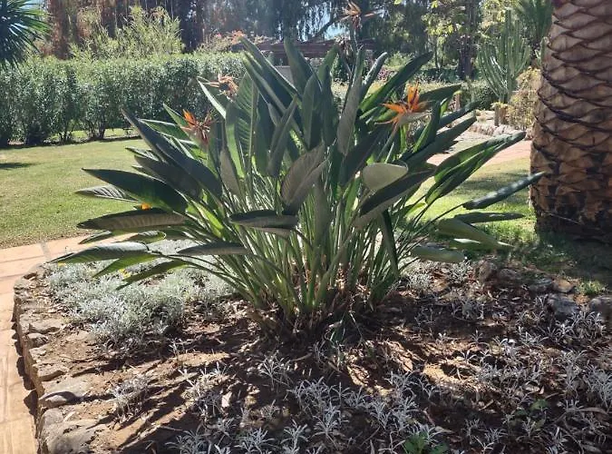 アパート Puerto Banus Near Beachfront, Big Sunny Terrace, Pool, Tennis Court, Parking & Movies Projector