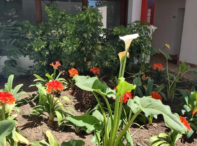 Puerto Banus Near Beachfront, Big Sunny Terrace, Pool, Tennis Court, Parking & Movies Projector